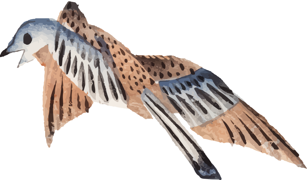 醫心館中醫診所-失眠｜水腫｜咳嗽